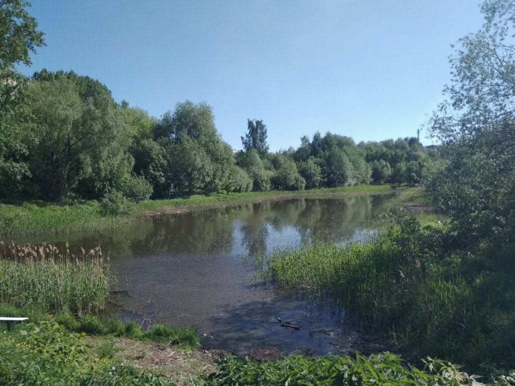 В Рязани сильно обмелел Черезовский пруд в Дашково-Песочне