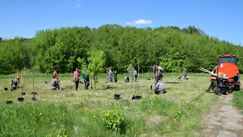 Ещё на двух локациях сотрудники рязанской НПК высадили саженцы деревьев