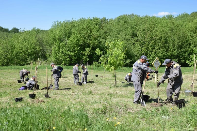 Ещё на двух локациях сотрудники рязанской НПК высадили саженцы деревьев