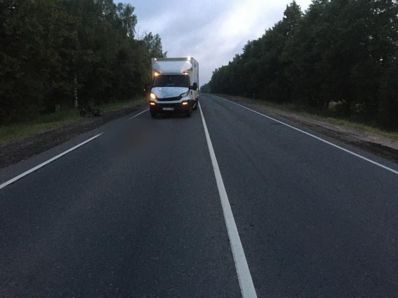 На трассе М-5 в Рязанской области грузовик насмерть сбил пешехода