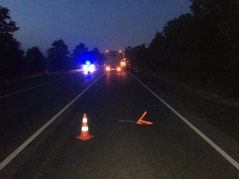 На трассе М-5 в Рязанской области грузовик насмерть сбил пешехода