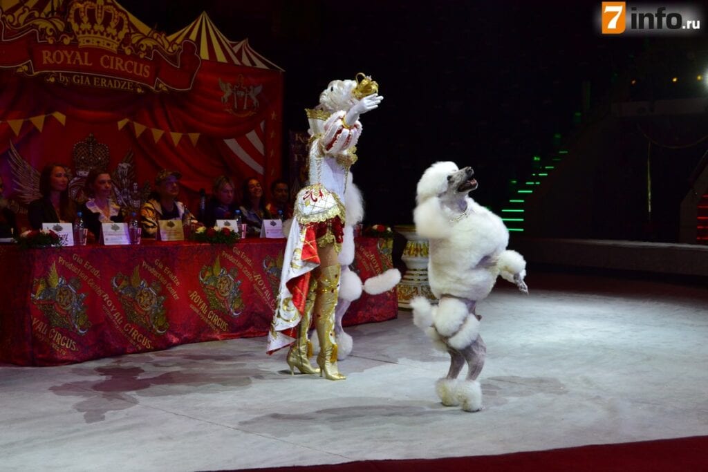 Рязанцев приглашают на премьеру "Королевского цирка" Гии Эрадзе
