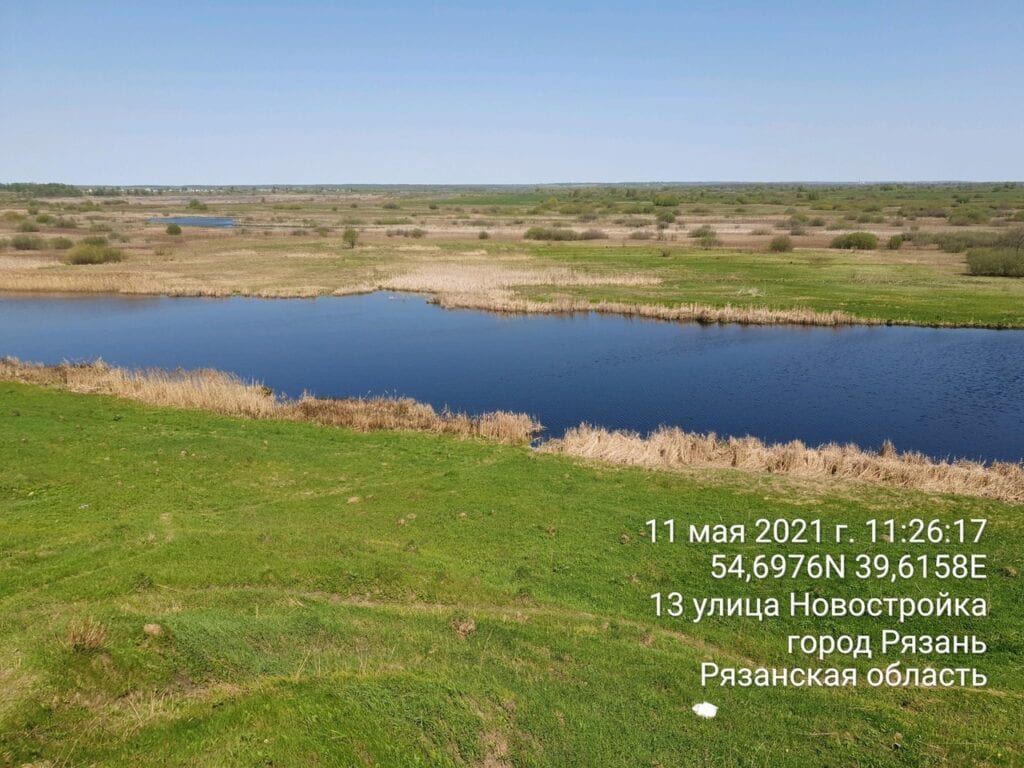 Экологи рассказали об изменении цвета озера в Рязани
