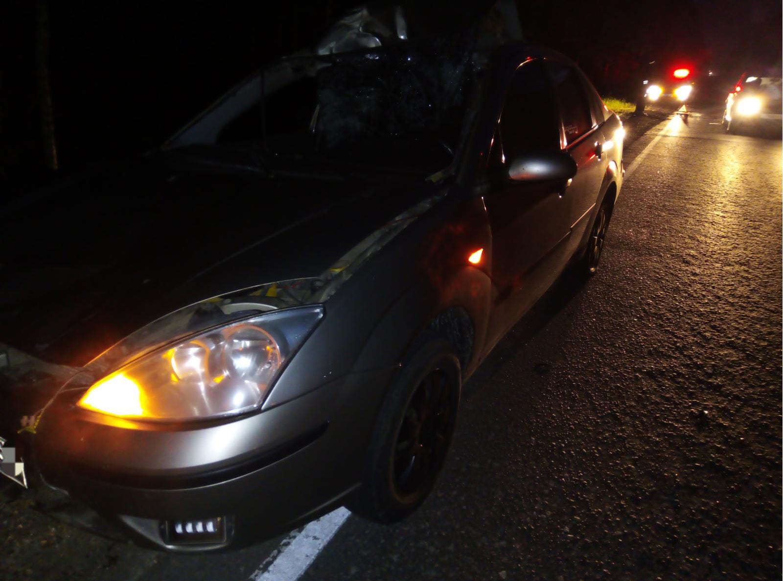 Женщина-водитель пострадала при столкновении с лосём в Касимовском районе