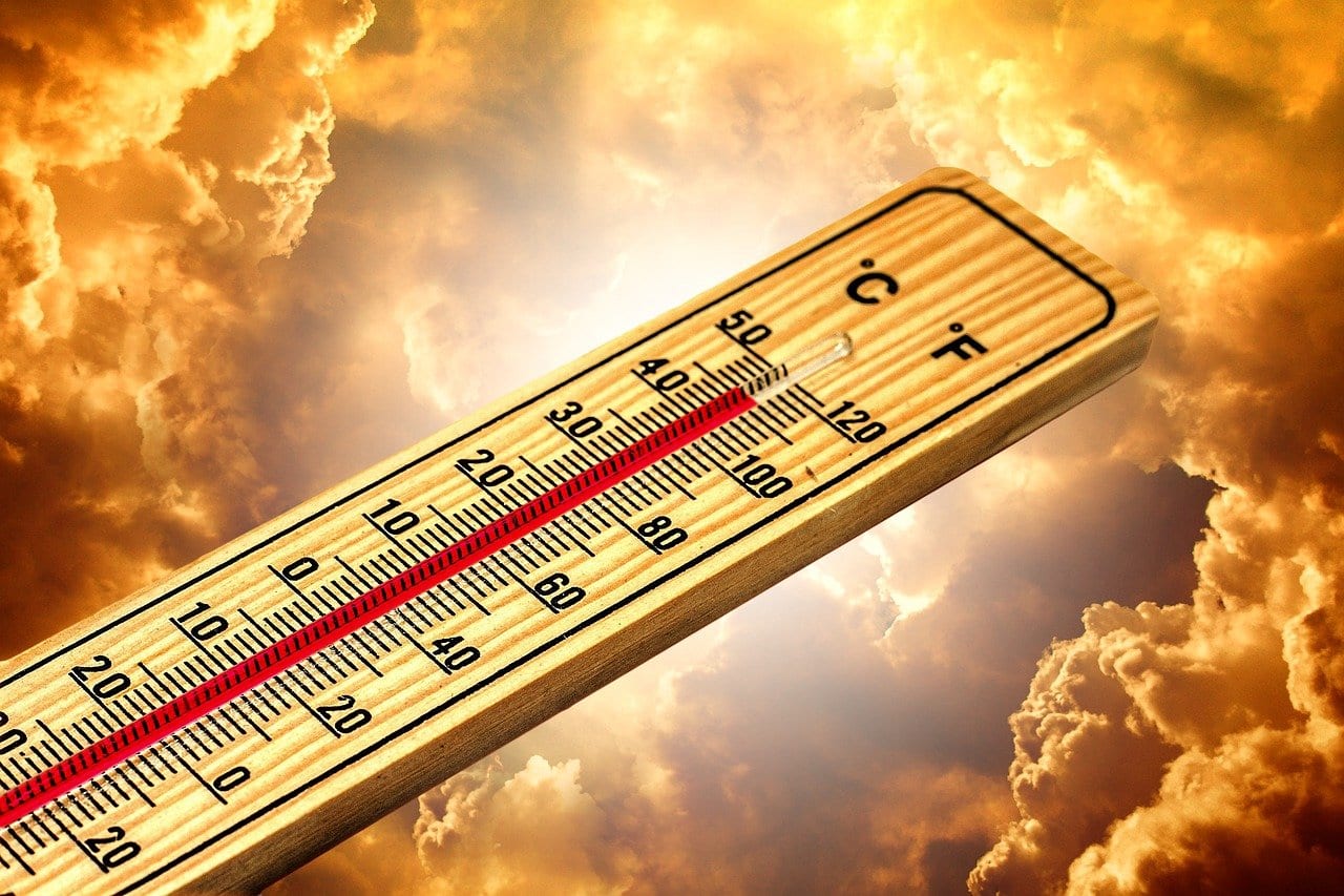 В субботу в Рязанской области ожидается жара до +34°С
