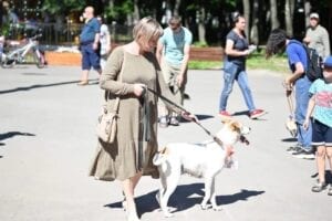 В Рязани прошла выставка бездомных животных «Пойдём домой»