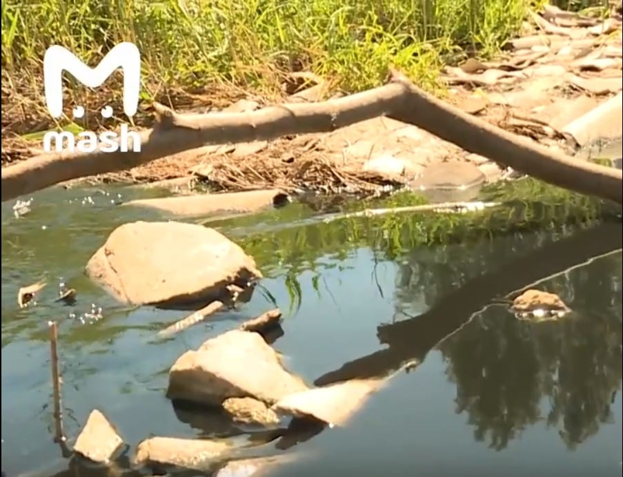 Крупный федеральный паблик заинтересовался загрязнением рязанского озера
