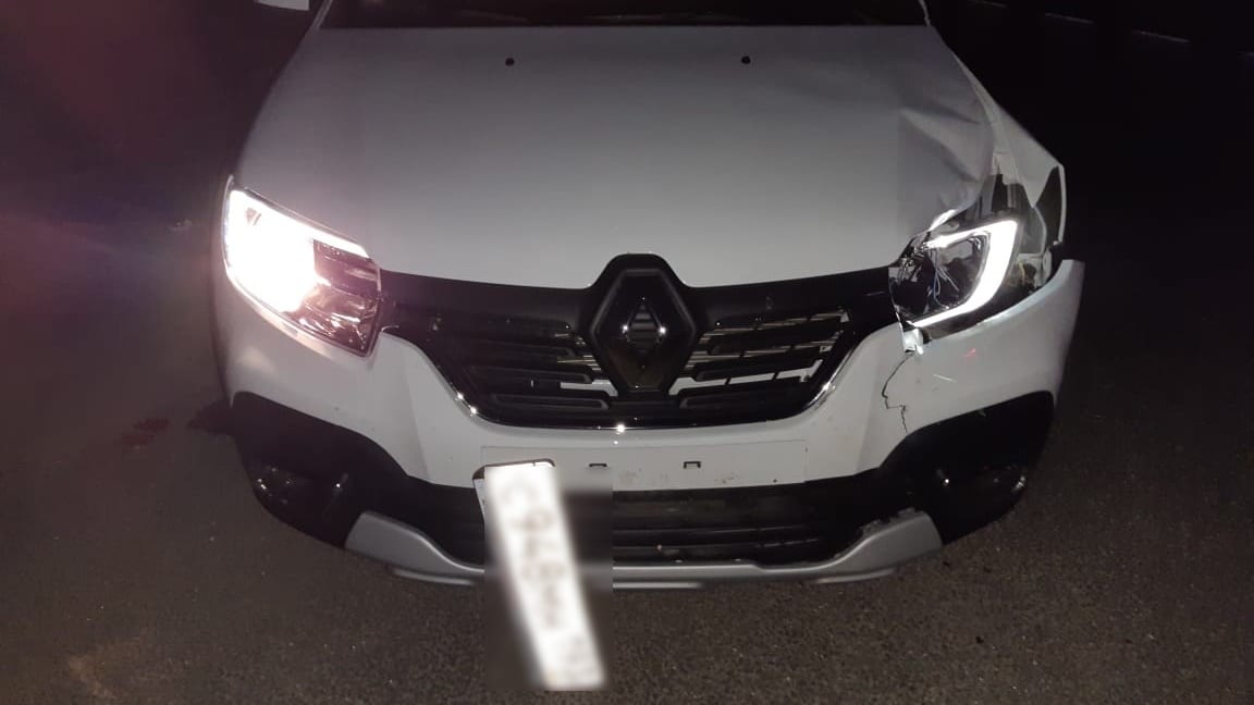 Renault Sandero сбил лося в Клепиковском районе