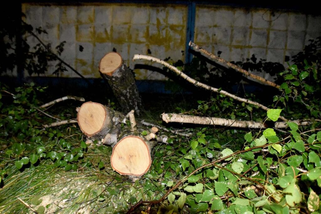 В Новомичуринске из-за ливня затопило улицы и повалило деревья