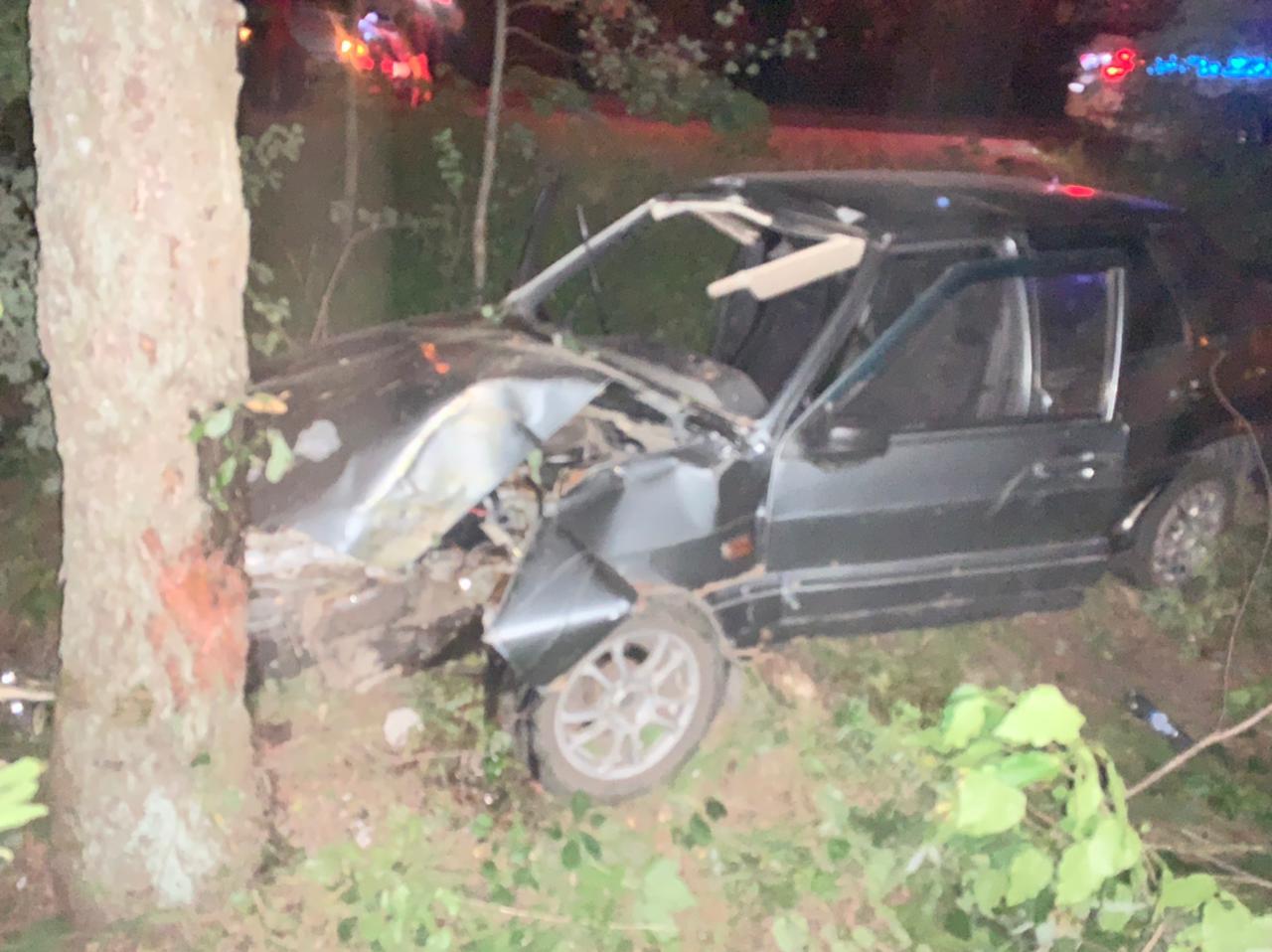 В Липецке 31-летняя девушка на ВАЗ-2115 врезалась в дерево