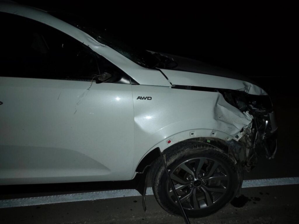 В Шацком районе пьяный водитель Kia Sportage насмерть сбил 17-летнего подростка