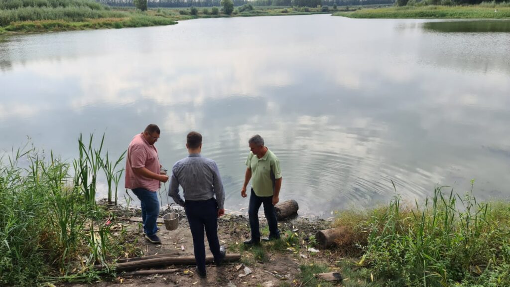 Депутат областной Думы отреагировал на сообщение о гибели рыбы в реке Дубянка