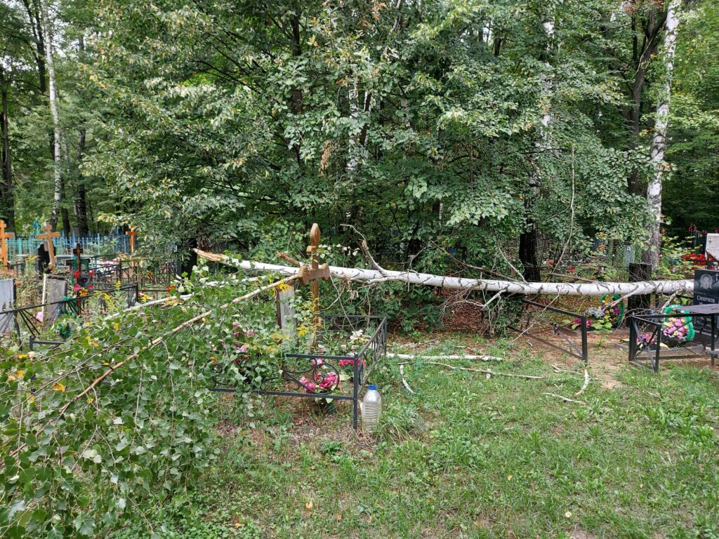 В Рыбновском районе упавшие деревья повредили кладбище