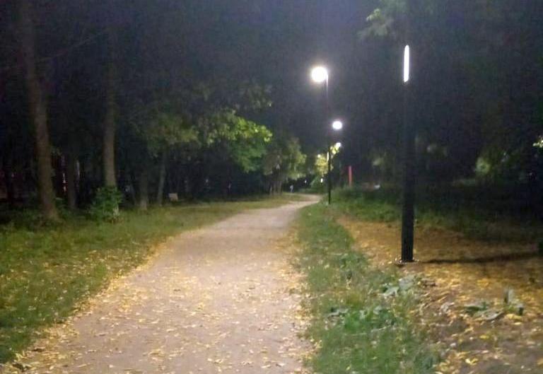 Уличное освещение в ЦПКиО Рязани полностью исправно — мэрия