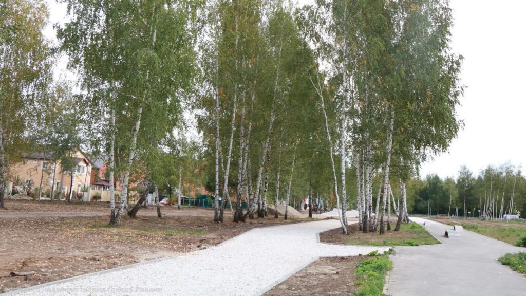 В Рязани продолжается реализация проектов местных инициатив