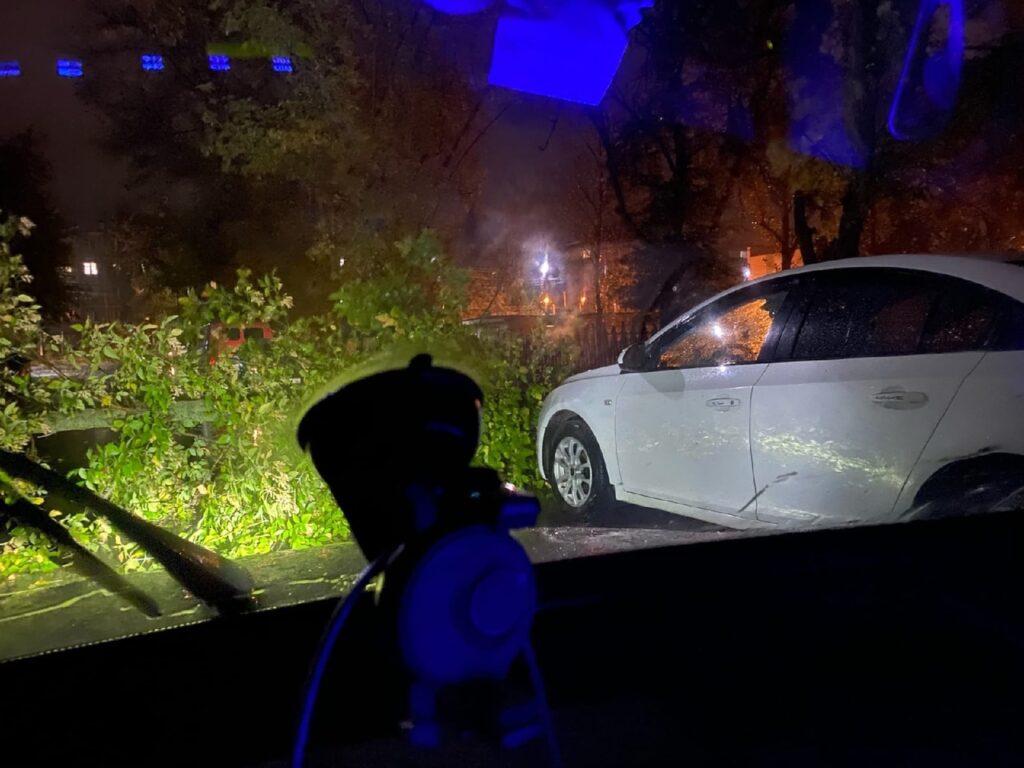 В Приокском в Рязани дерево упало на автомобили