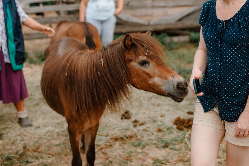 Екатерина Царёва: Моя любовь к лошадям случилась первого сентября в первом классе