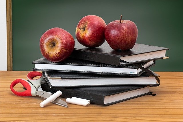 Ещё в 11 школах Рязани приостановили учебный процесс из-за роста заболеваемости
