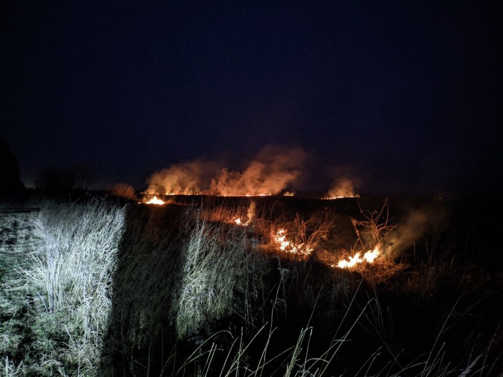 В селе Вышгород под Рязанью загорелись поля