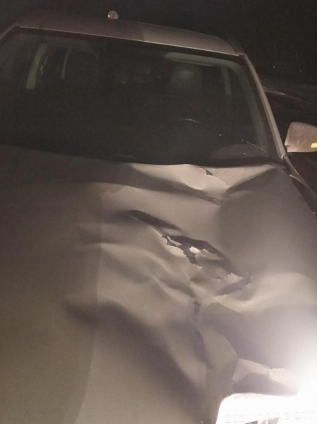 В Рязанском районе Mitsubishi Outlander сбил насмерть пешехода