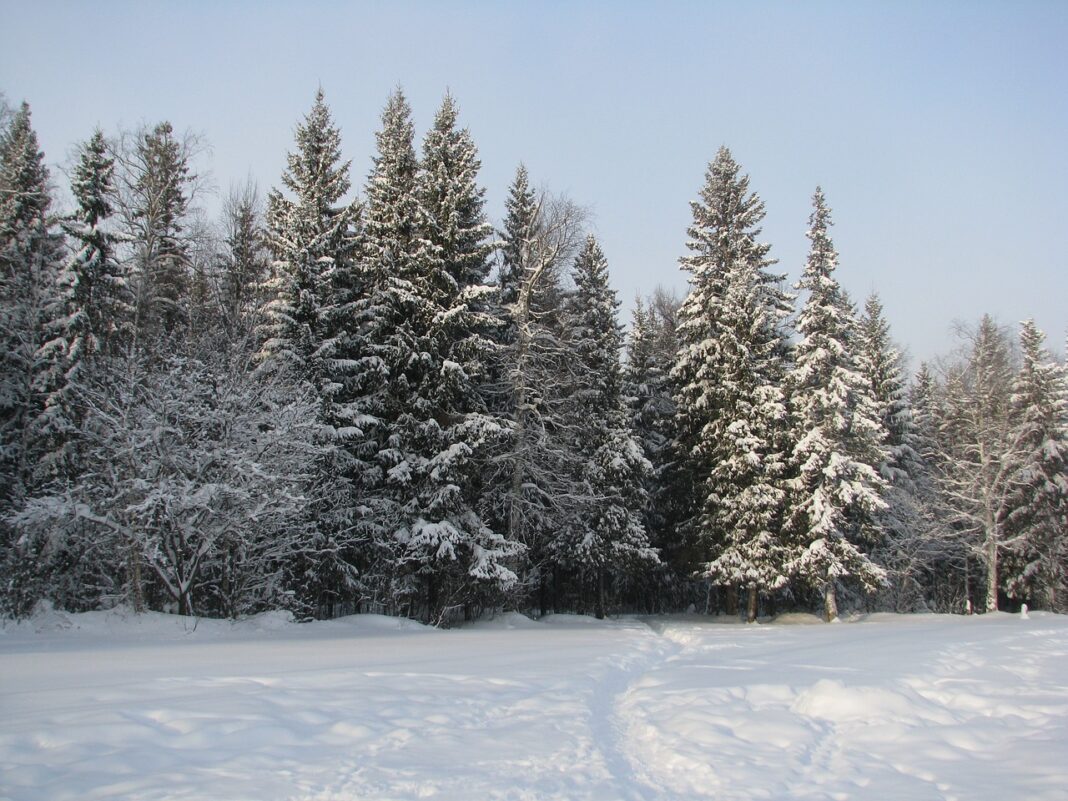 winter-2687252_1280