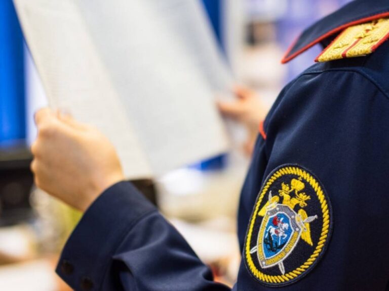 Следственный комитет проводит проверку по факту задержания учительницы в Рязани