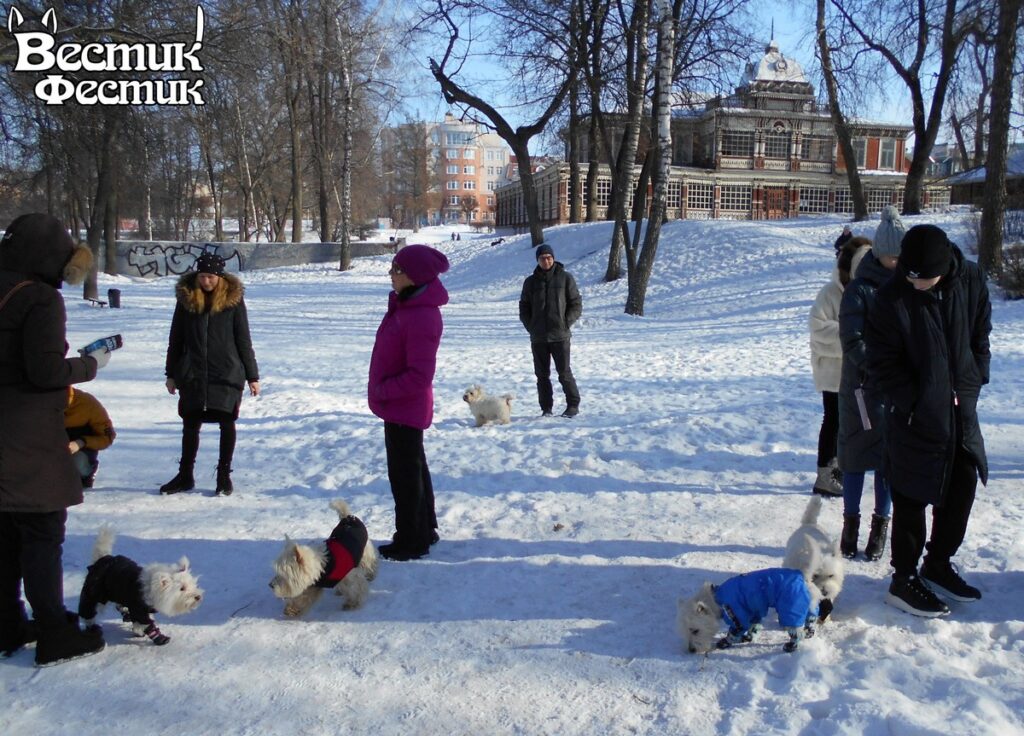 В Рязани прошла встреча владельцев собак породы вест хайленд уайт терьер и их питомцев «Вестик-Фестик»