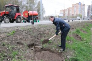 Депутаты городской Думы высадили деревья на Касимовском шоссе Рязани