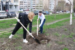 Депутаты городской Думы высадили деревья на Касимовском шоссе Рязани
