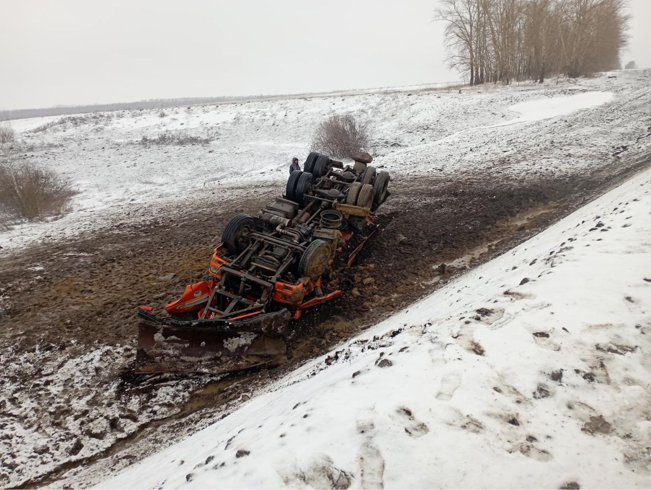 скамейка онегина в михайловском