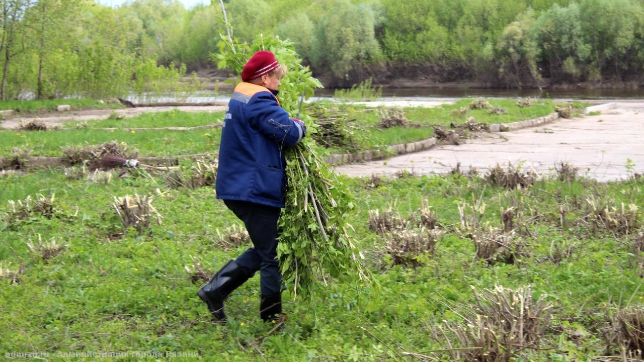 Уборка собственной территории проводится