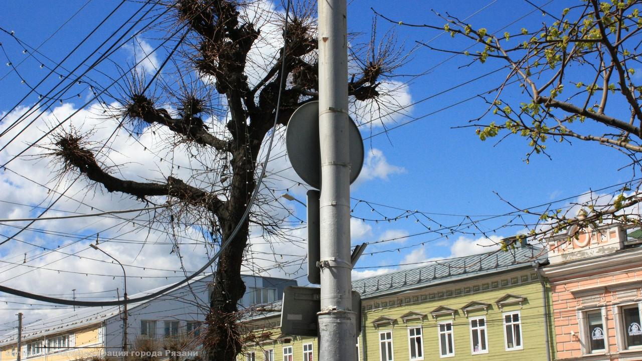 Заммэра Рязани Борис Ясинский проверил, как город готовится к празднованию Дня Победы Борис Ясинский совместно с руководителями профильных структурных подразделений проверил, как ведётся подготовка города к празднованию Дня Победы, и дал ряд поручений.