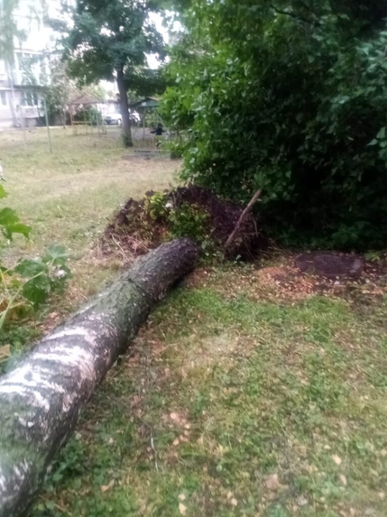 В центре Рязани дерево упало на пятиэтажку и повисло на проводах В центре Рязани дерево упало на пятиэтажку и повисло на проводах Фотографии последствий непогоды разместила группа «Рязань».