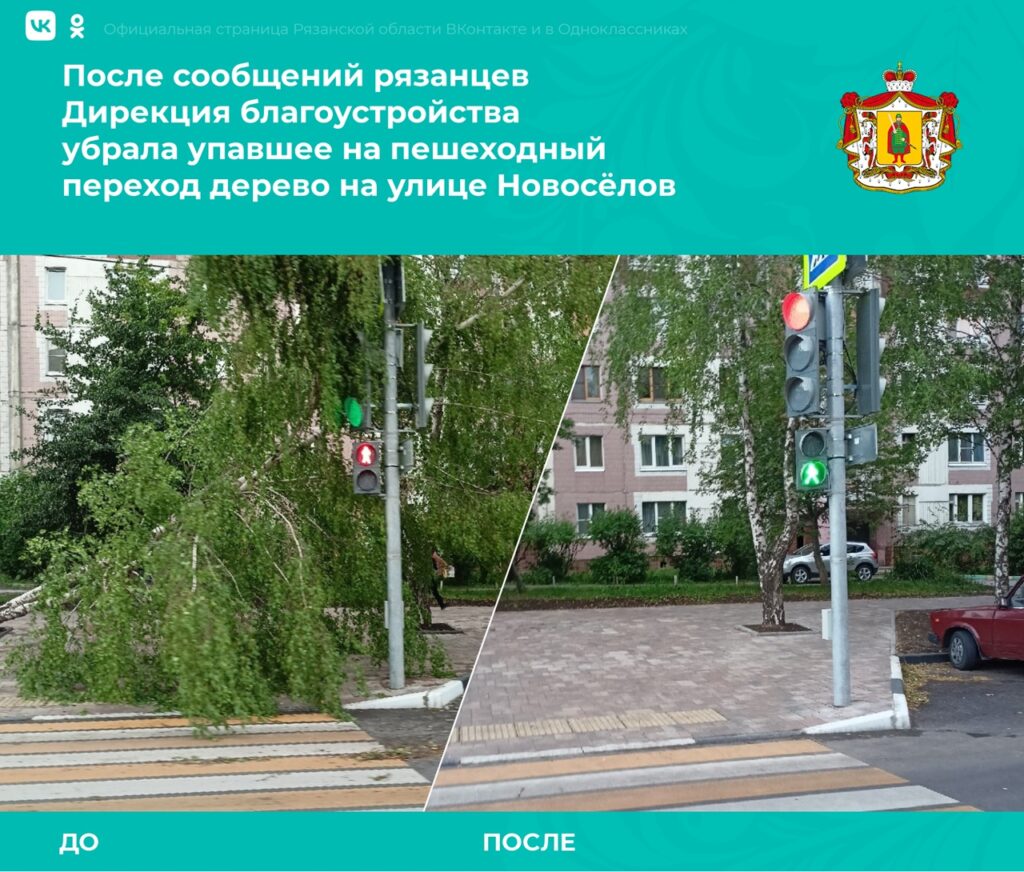 До и после: рязанские власти отчитались о ликвидации последствий урагана Поваленные деревья убрали в Рязани, а также в районах области.