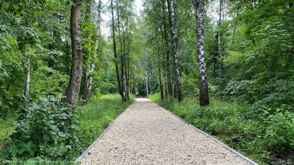Благоустройство парка имени Белякова проверили активисты Благоустройство парка имени Белякова проверили активисты Сейчас в парке асфальтируются дорожки.