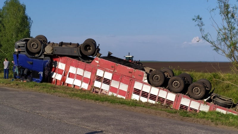photo_2022-07-26_18-29-51
