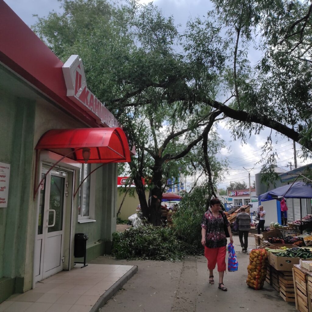 На территории рынка на улице Гоголя упало дерево