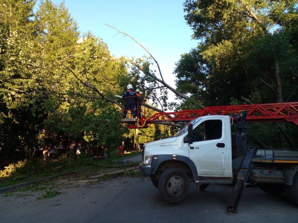В Приокском на припаркованные машины упало дерево