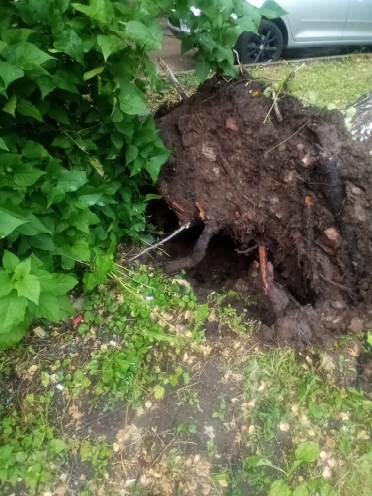 В центре Рязани дерево упало на пятиэтажку и повисло на проводах В центре Рязани дерево упало на пятиэтажку и повисло на проводах Фотографии последствий непогоды разместила группа «Рязань».