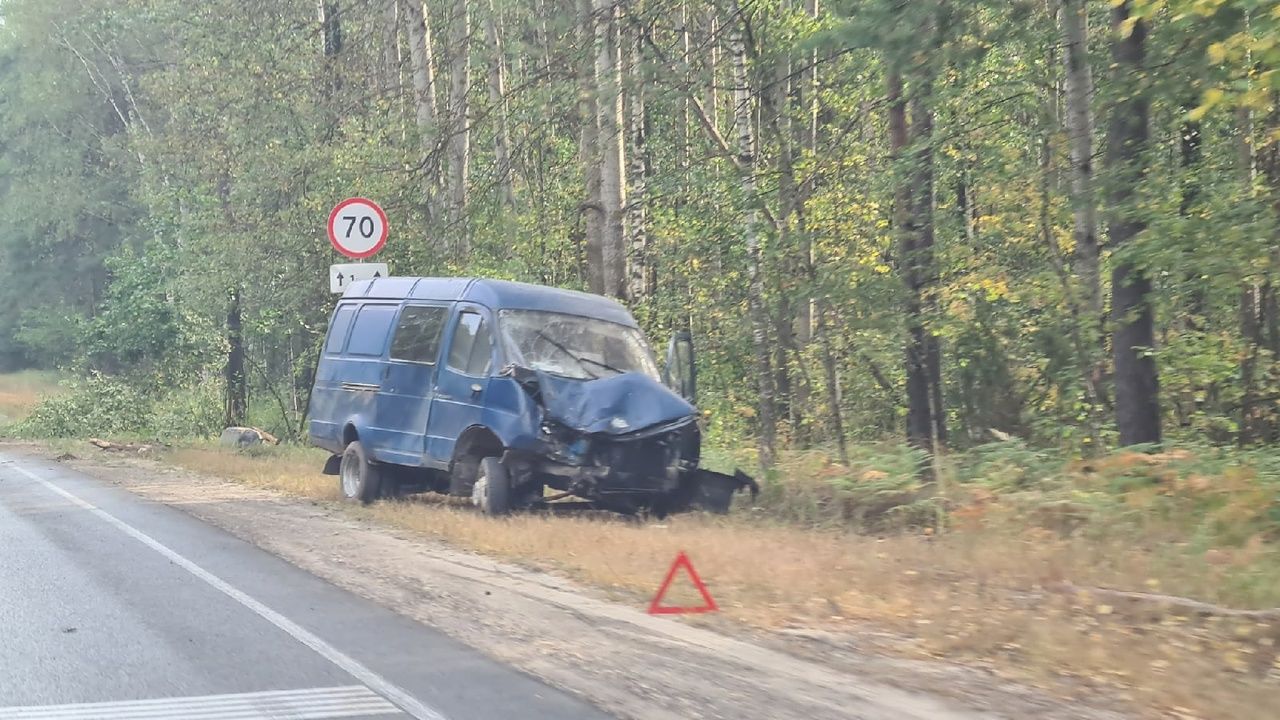 В Рязанской области автомобиль вылетел в кювет
