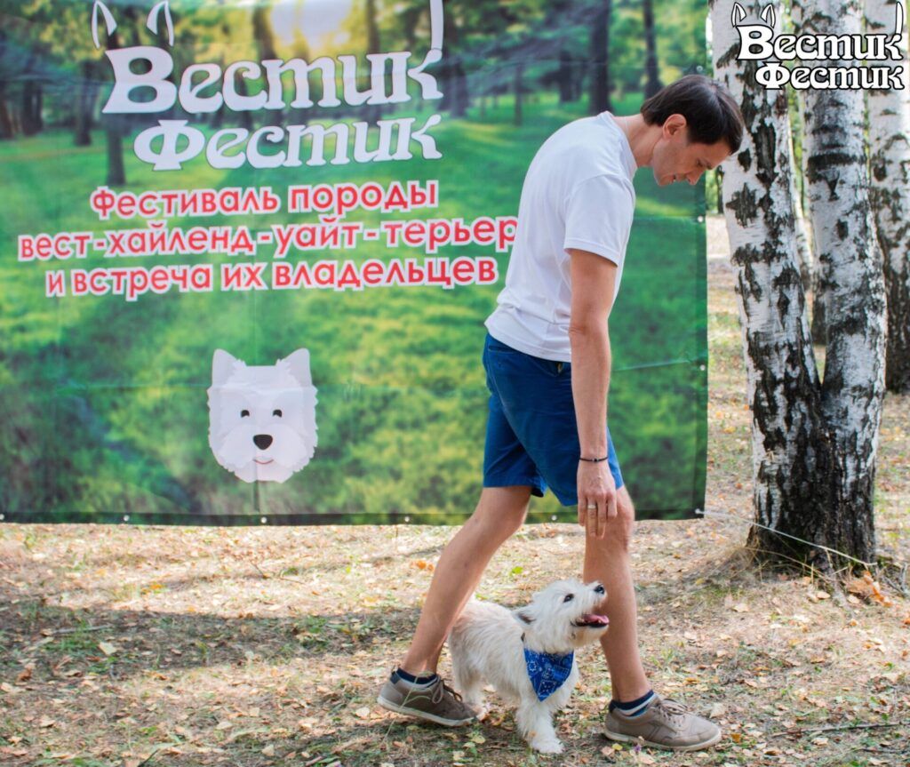 В Рязани в седьмой раз прошёл собачий фестиваль «Вестик-Фестик»