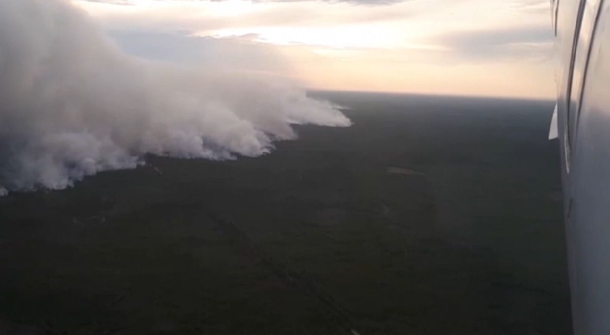 Источник ТАСС: Лесные пожары в Рязанской области фактически ликвидированы