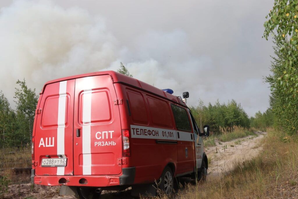 Опубликованы фото тушения лесного пожара в Клепиковском районе