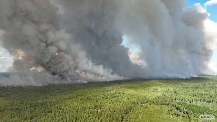 Дым от рязанских пожаров принесло ветром в Мордовию