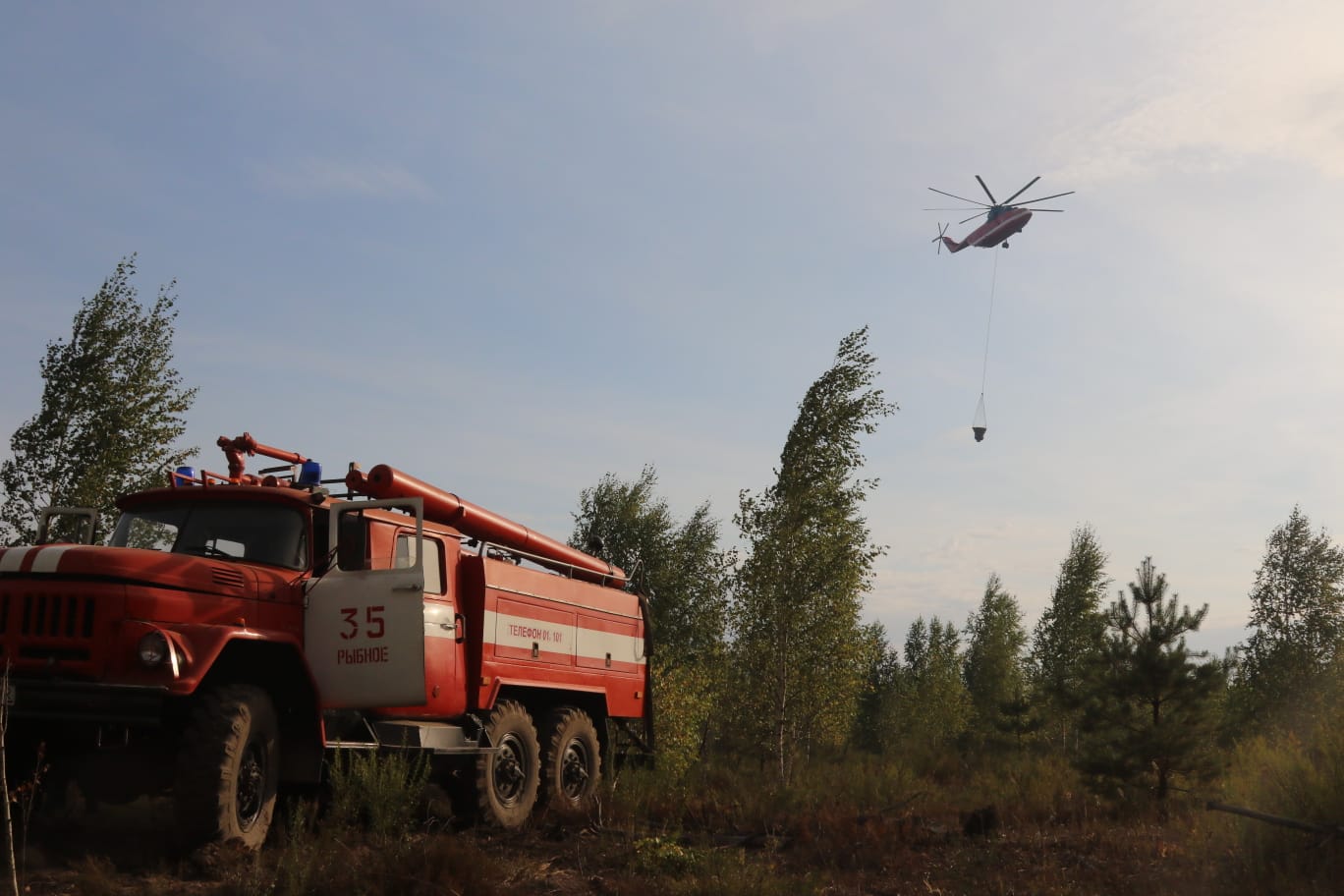 Пожлес и опергруппа опровергли информацию о возобновлении лесных пожаров в Рязанской области