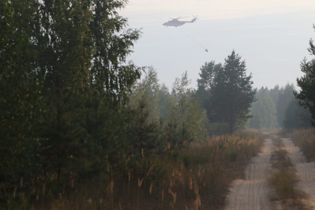 Опубликованы фото тушения лесного пожара в Клепиковском районе
