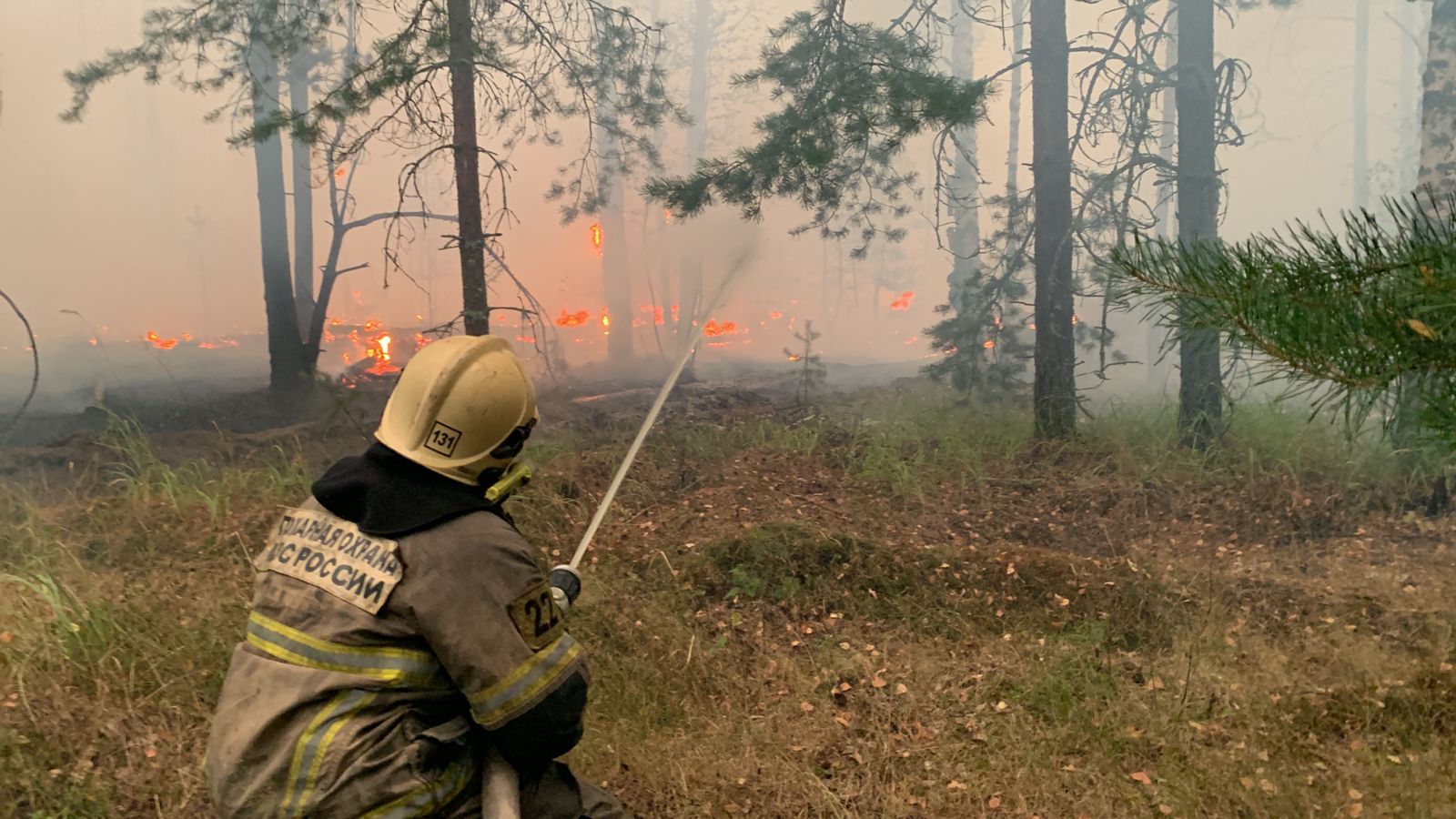Вице-премьер Григоренко: Лесные пожары в Рязанской области локализованы