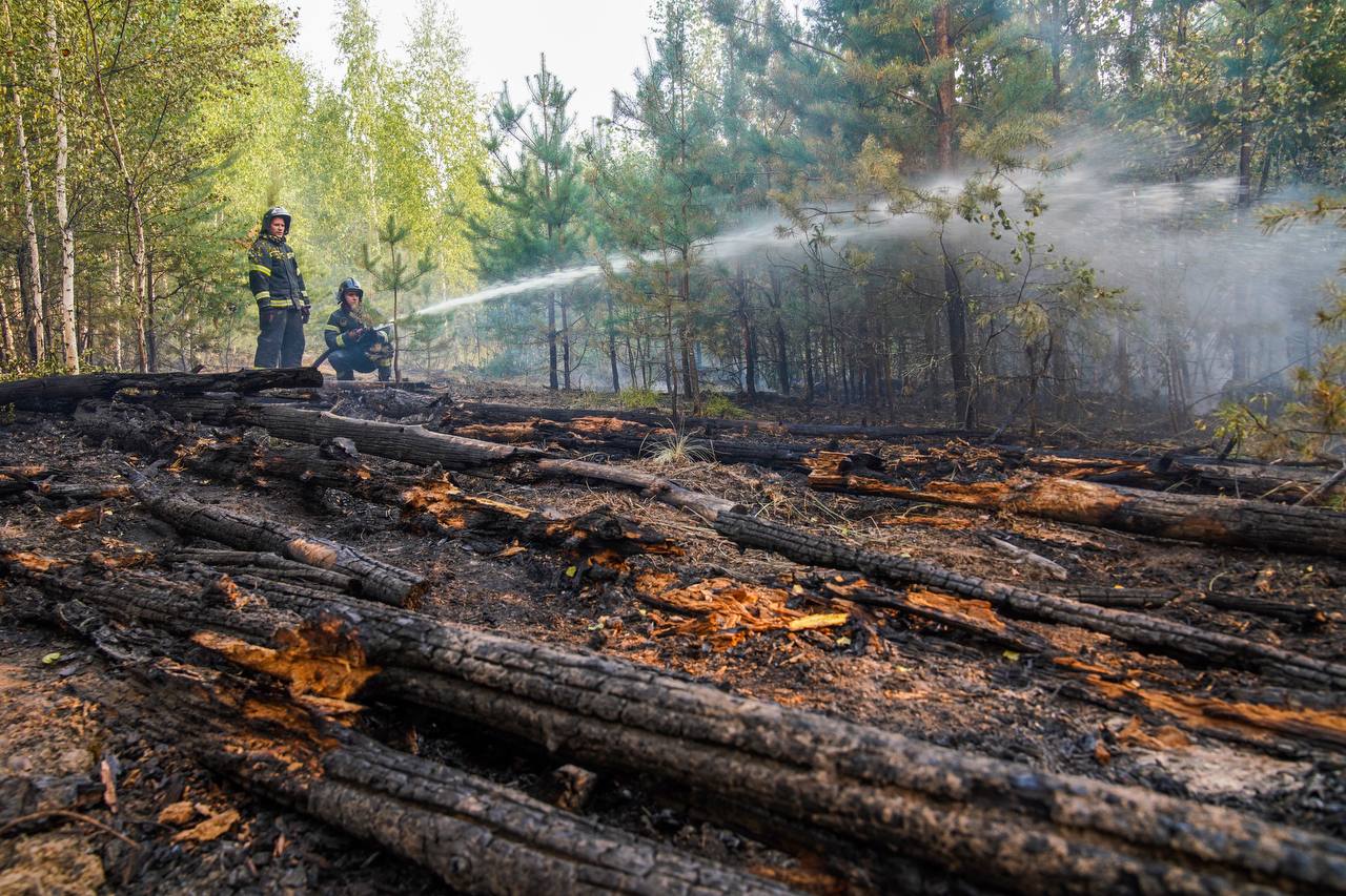 Малков заявил о сохранении ещё одного очага лесных пожаров