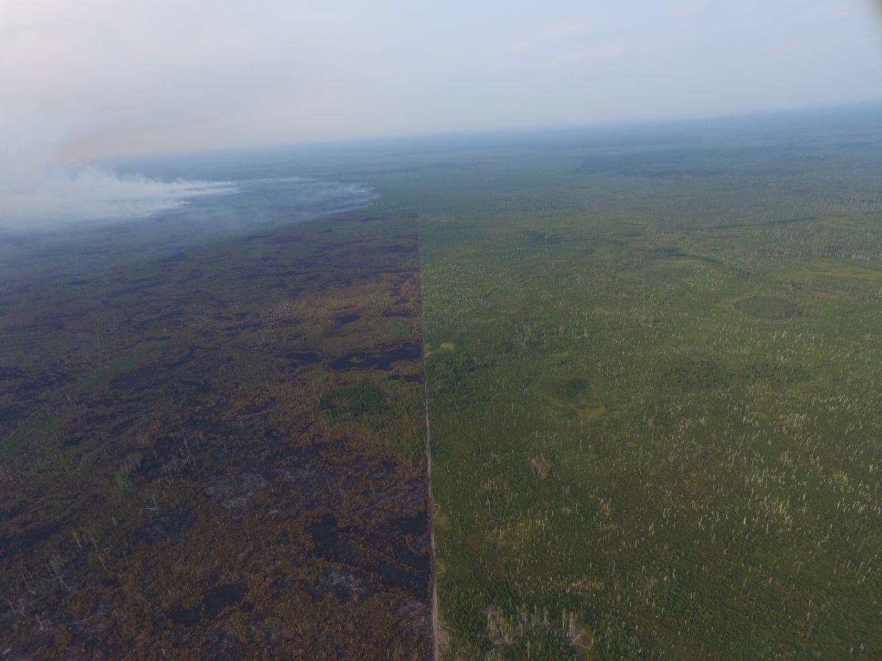 Окский заповедник поделился фотографиями с высоты птичьего полёта |  29.08.2022 | Рязань - БезФормата