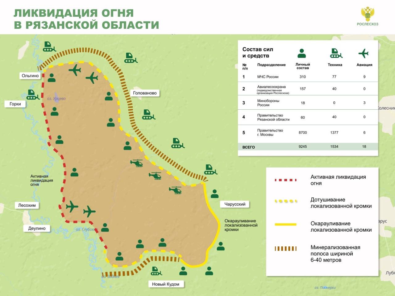 Рослесхоз показал ликвидацию пожара в Рязанской области в деталях